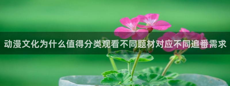 omofun新番更新:动漫文化为什么值得分类观看不同题材对应不同追番需求配图