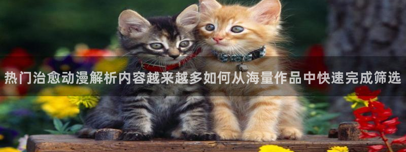 omofun连载排行榜:热门治愈动漫解析内容越来越多如何从海量作品中快速完成筛选配图