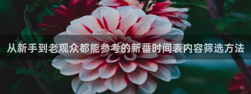 omofun日本动漫推荐：从新手到老观众都能参考的新番时间表内容筛选方法配图