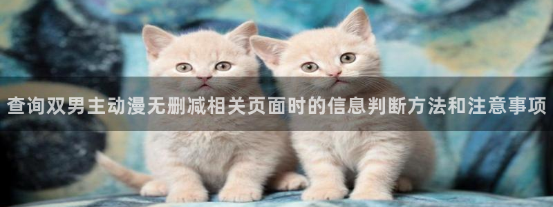 omofun最新作品：查询双男主动漫无删减相关页面时的信息判断方法和注意事项配图