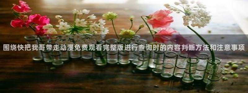 omofun动漫作品大全:围绕快把我哥带走动漫免费观看完整版进行查询时的内容判断方法和注意事项配图