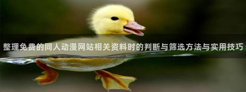 omofun动漫手机网站:整理免费的同人动漫网站相关资料时的判断与筛选方法与实用技巧配图
