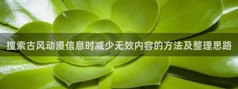 omofun网页版在线观看:搜索古风动漫信息时减少无效内容的方法及整理思路配图