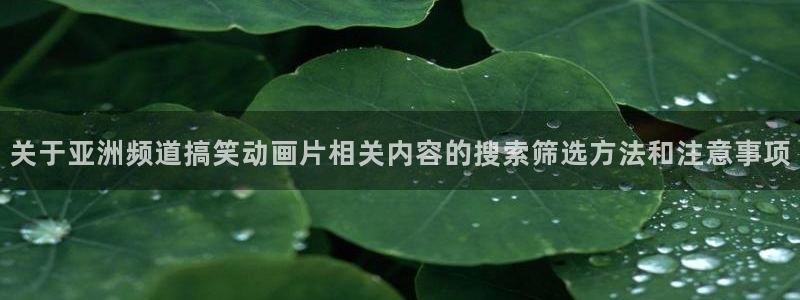 omofun动漫首页：关于亚洲频道搞笑动画片相关内容的搜索筛选方法和注意事项配图
