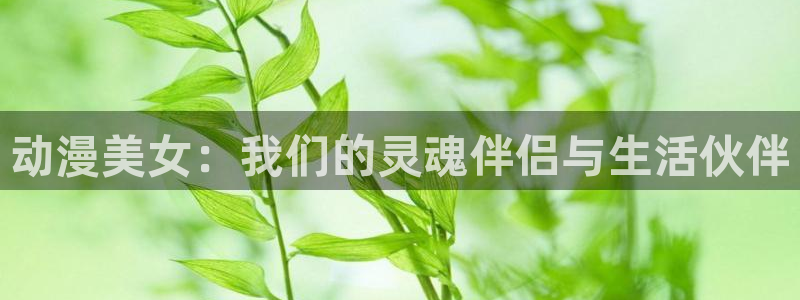 omofun动漫分类:动漫美女:我们的灵魂伴侣与生活伙伴配图